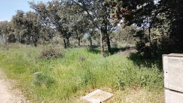 Terreno en camino de las Dunas, 10 photo 1
