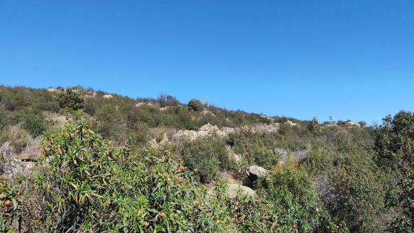 Terreno en calle Del Moral s/n photo 3