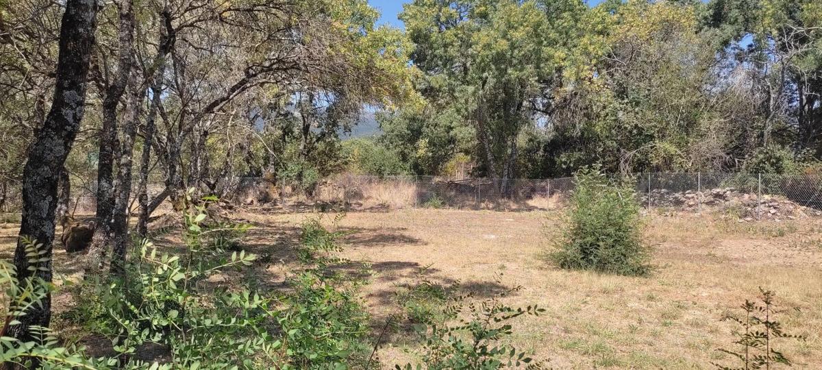 Terreno en venta en Villavieja del Lozoya, Madrid photo 1