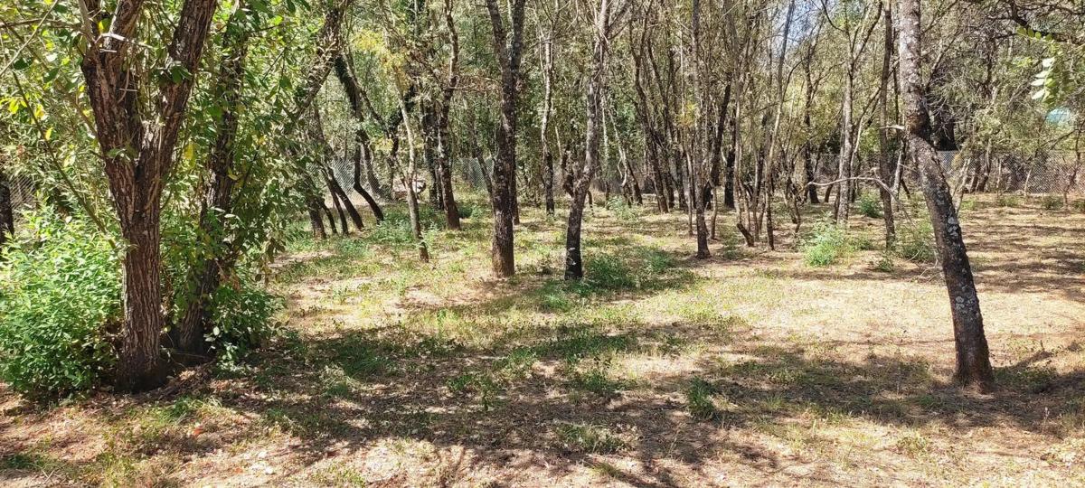 Terreno en venta en Villavieja del Lozoya, Madrid photo 2