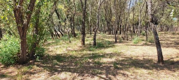 Terreno en Villavieja, 11 thumbnail 1