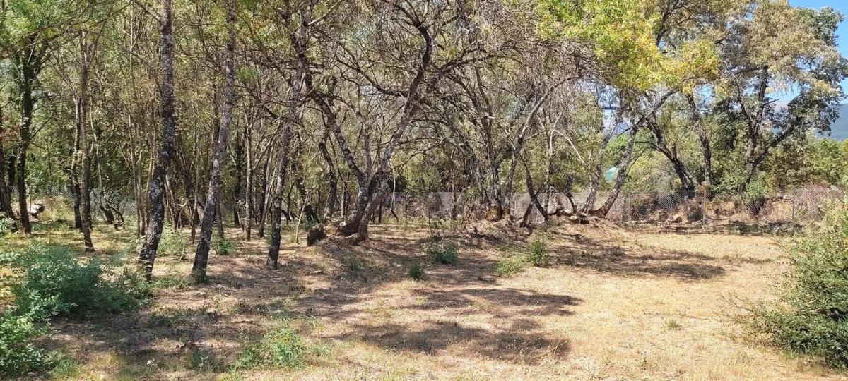 Terreno en venta en Villavieja del Lozoya, Madrid photo 3