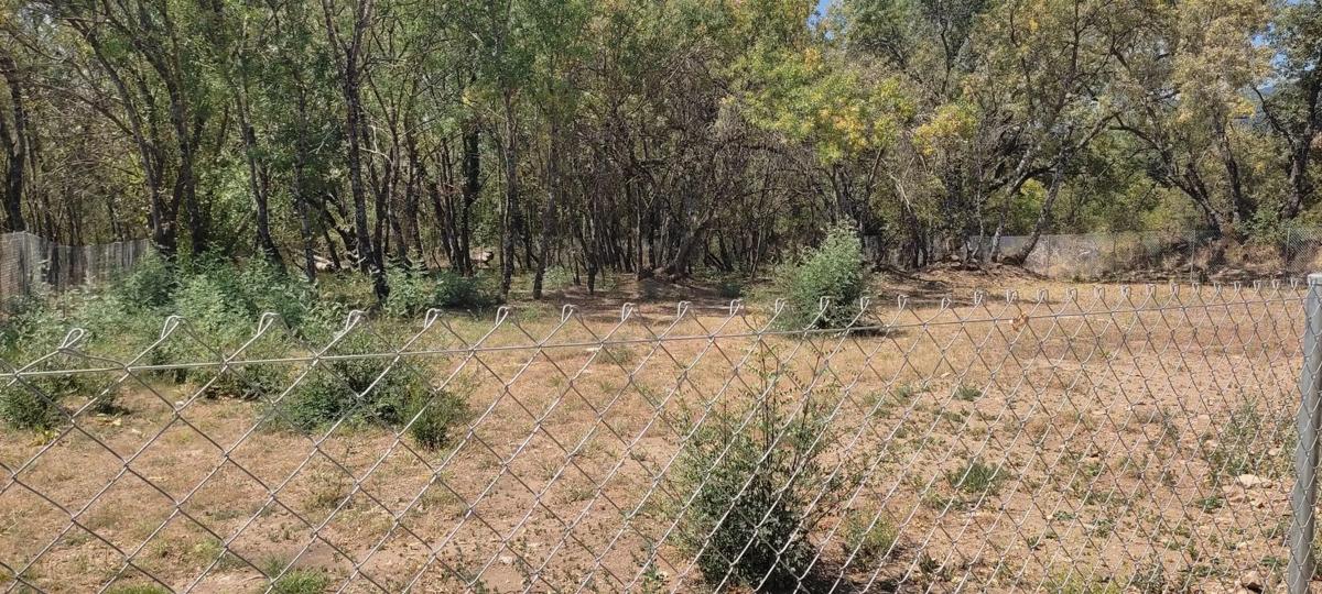 Terreno en venta en Villavieja del Lozoya, Madrid photo 4