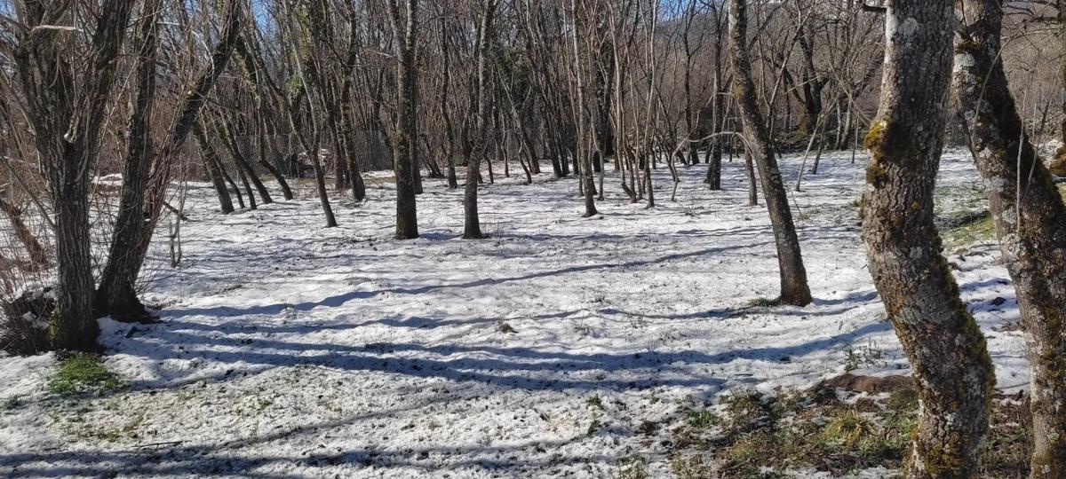 Terreno en venta en Villavieja del Lozoya, Madrid photo 5