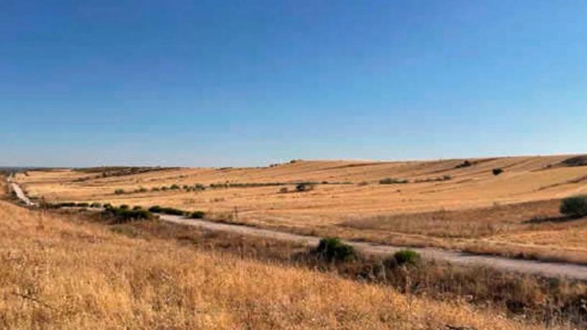 Terreno en venta en Paracuellos de Jarama, Madrid photo 1
