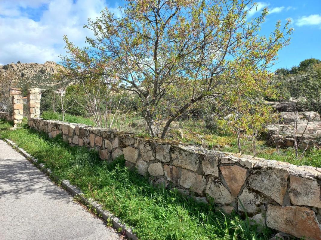 Terreno en venta en Manzanares el Real, Madrid photo 5