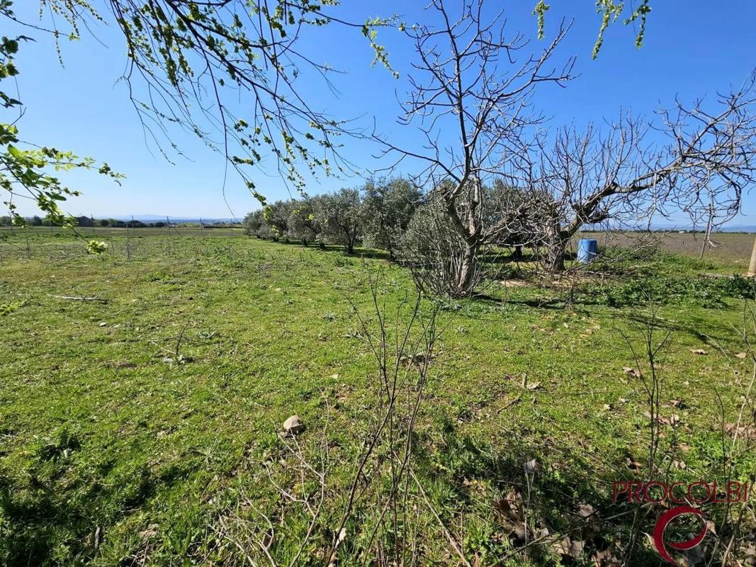 Terreno en venta en Valdeolmos-Alalpardo, Madrid photo 1