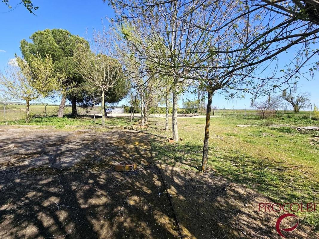Terreno en venta en Valdeolmos-Alalpardo, Madrid photo 3
