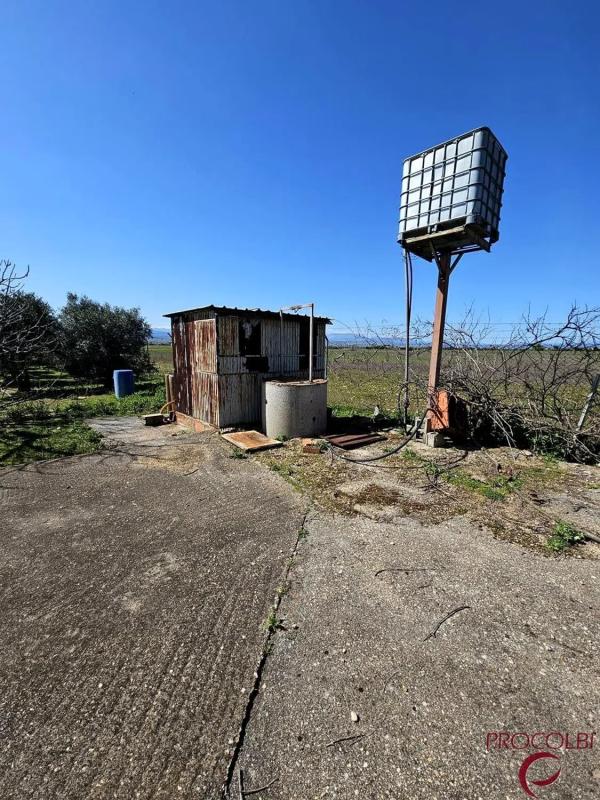 Terreno en venta en Valdeolmos-Alalpardo, Madrid photo 2