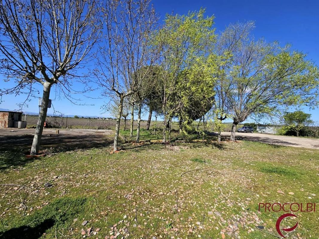 Terreno en venta en Valdeolmos-Alalpardo, Madrid photo 3