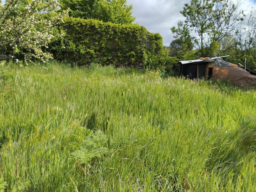 Terreno en venta en La Serna del Monte, Madrid photo 3