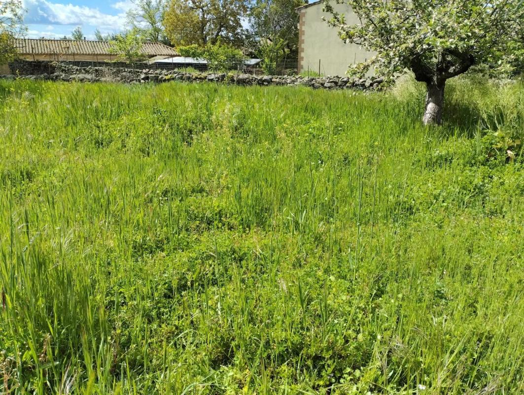 Terreno en venta en La Serna del Monte, Madrid photo 4