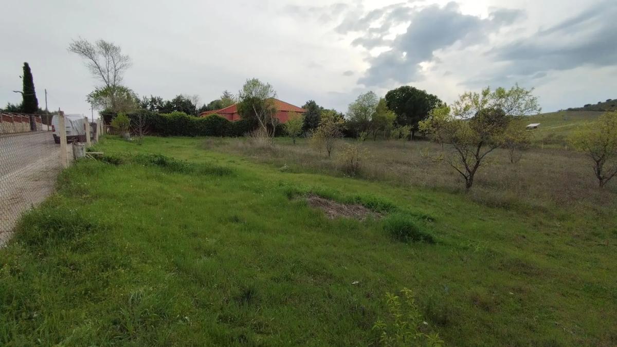 Działka na sprzedaż w Ribatejada, Madryt photo 3