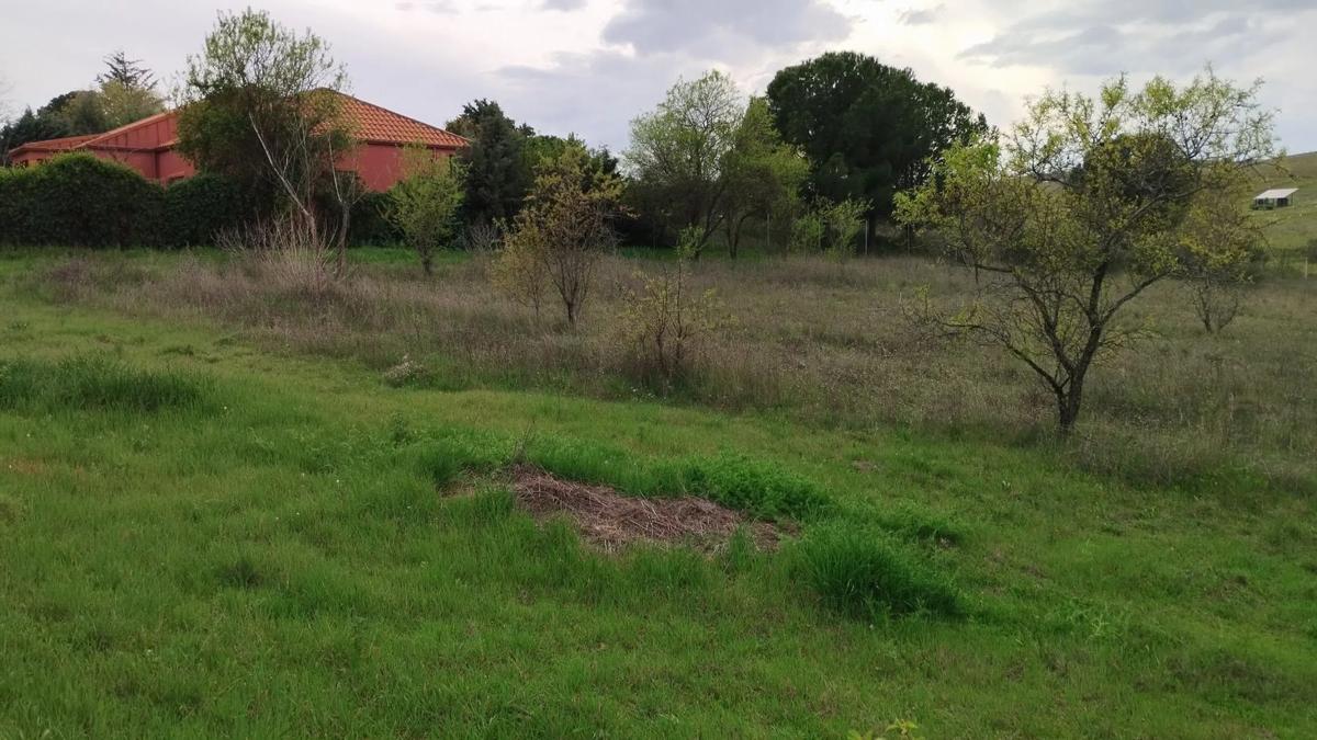 Działka na sprzedaż w Ribatejada, Madryt photo 4