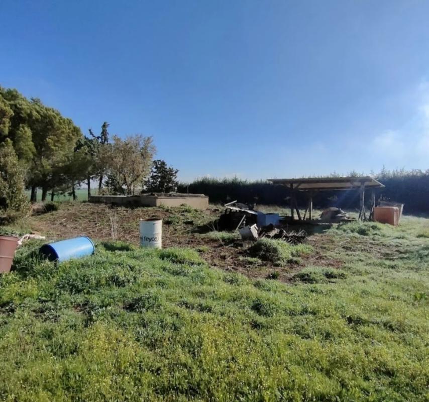 Terreno en venta en Fuente el Saz de Jarama, Madrid photo 3