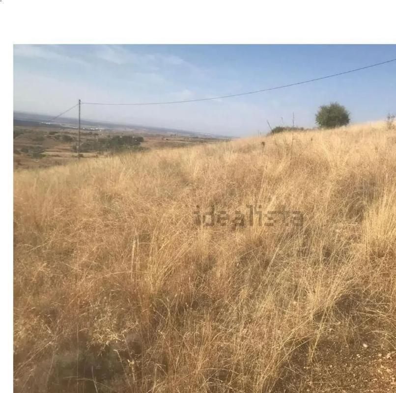 Участок земли на продажу в Эль Молар, Мадрид photo 3
