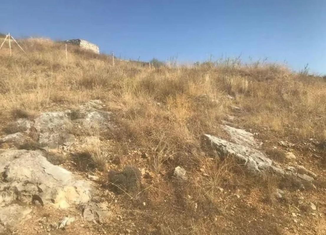 Участок земли на продажу в Эль Молар, Мадрид photo 4