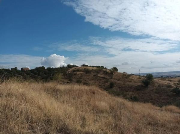 Terreno en El Molar photo 3