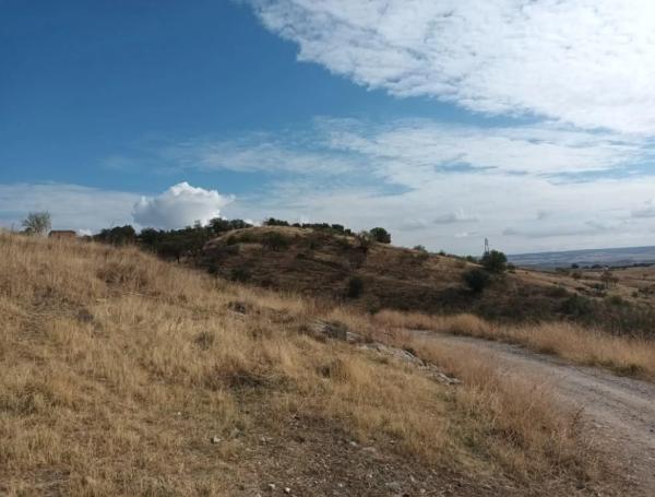 Terreno en El Molar photo 4