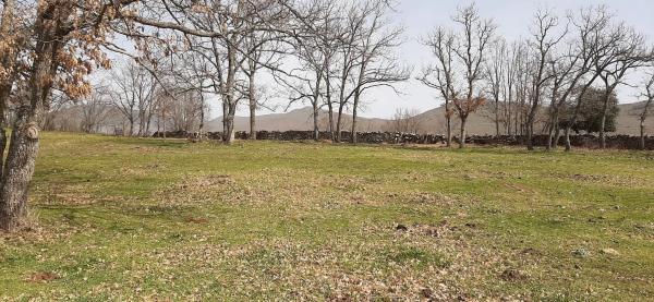 Terreno en Poligo 10, 72 Parcela photo 1