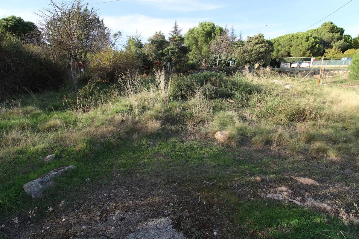 Terreno en venta en Berrueco, El, Madrid photo 5