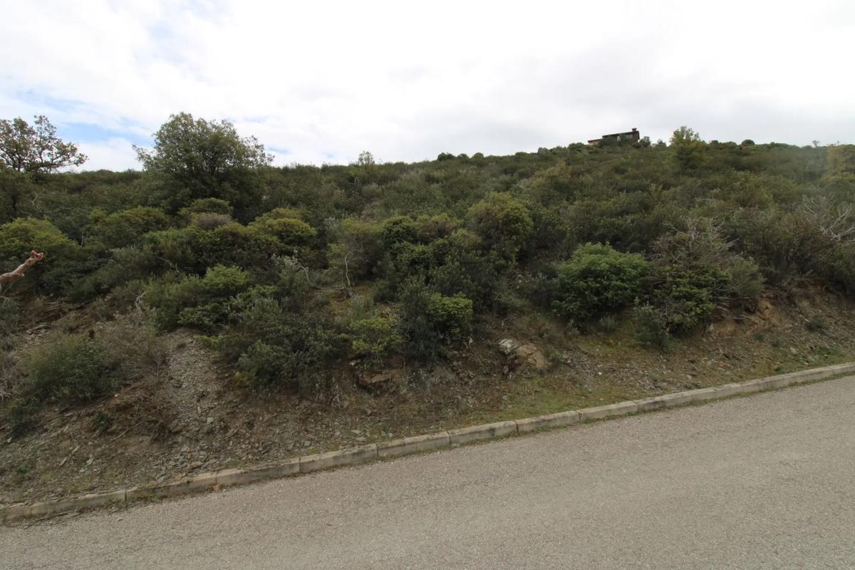 Terreno en venta en Berrueco, El, Madrid photo 4