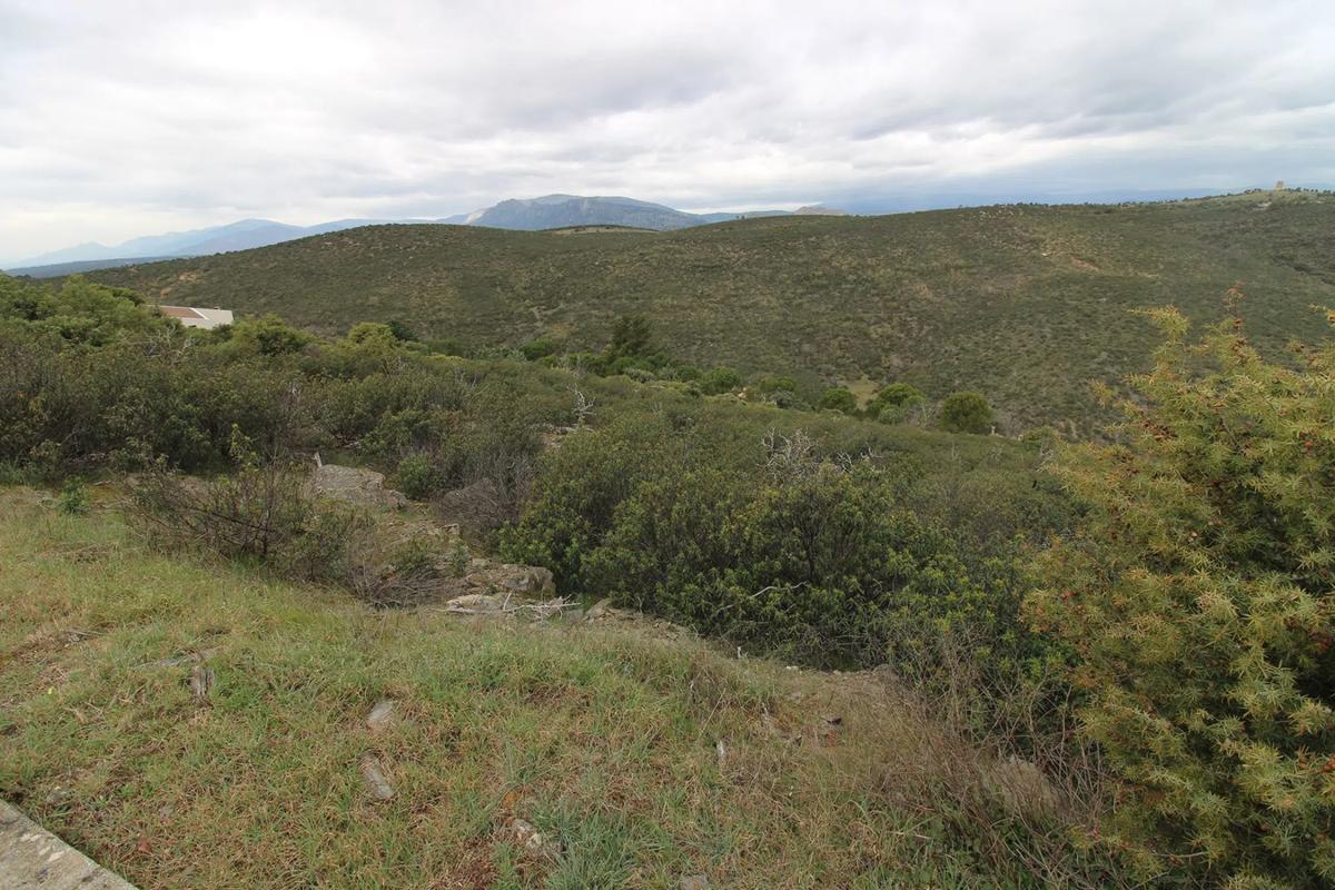 Terreno en venta en Berrueco, El, Madrid photo 5