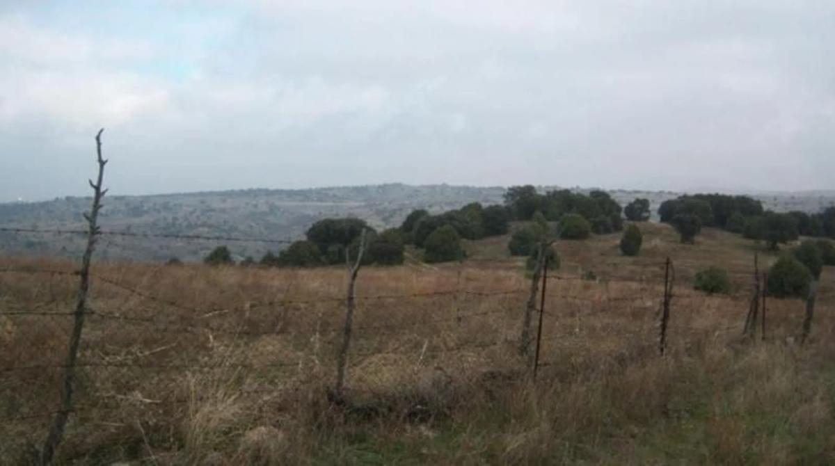 Land for sale in Colmenar Viejo, Madrid photo 1