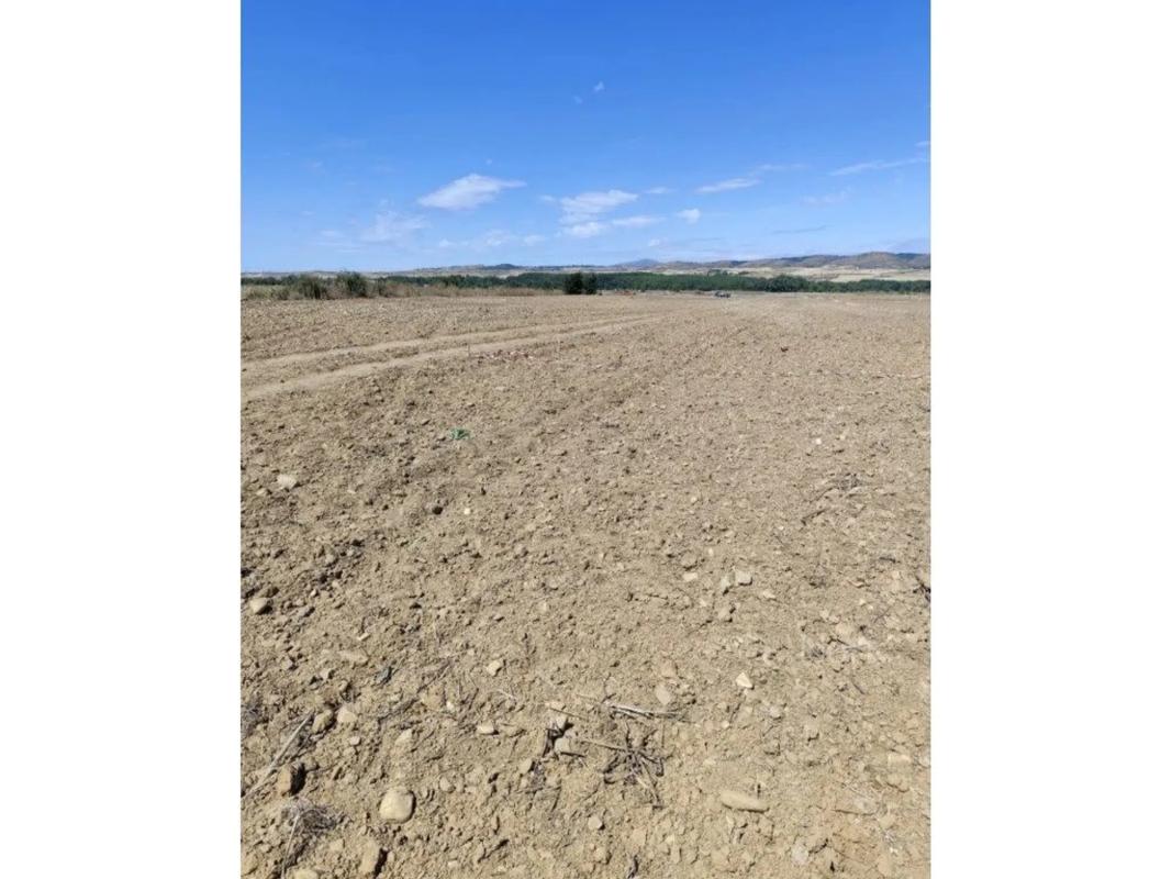 Terreno en venta en Talamanca de Jarama, Madrid photo 4