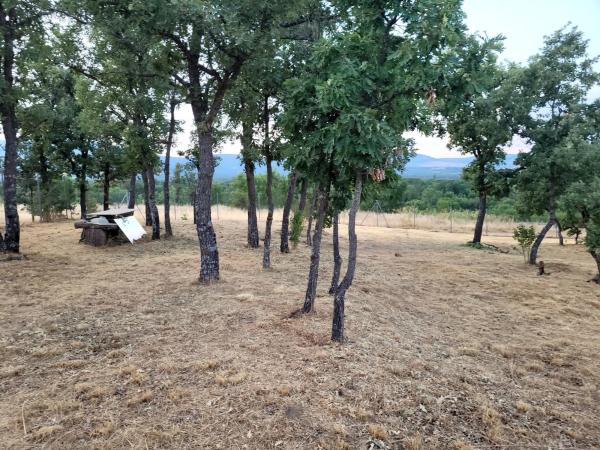 Terreno en calle el Tercio de la laguna, 22 photo 2