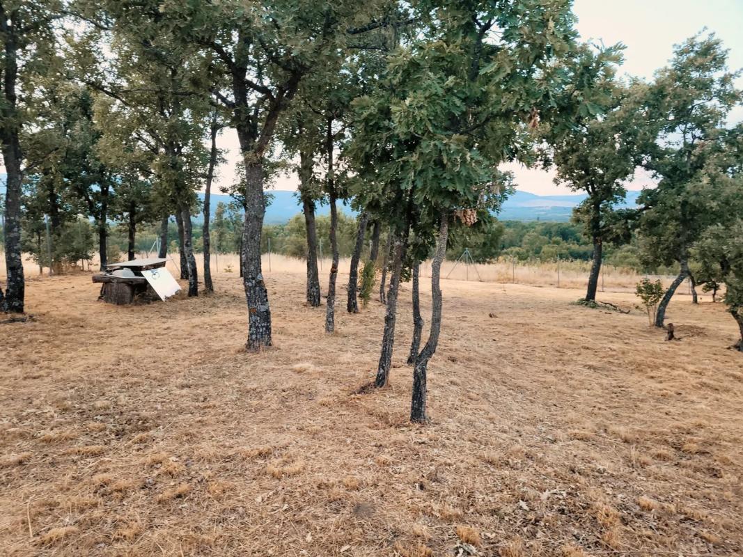 Terreno en venta en Villavieja del Lozoya, Madrid photo 3