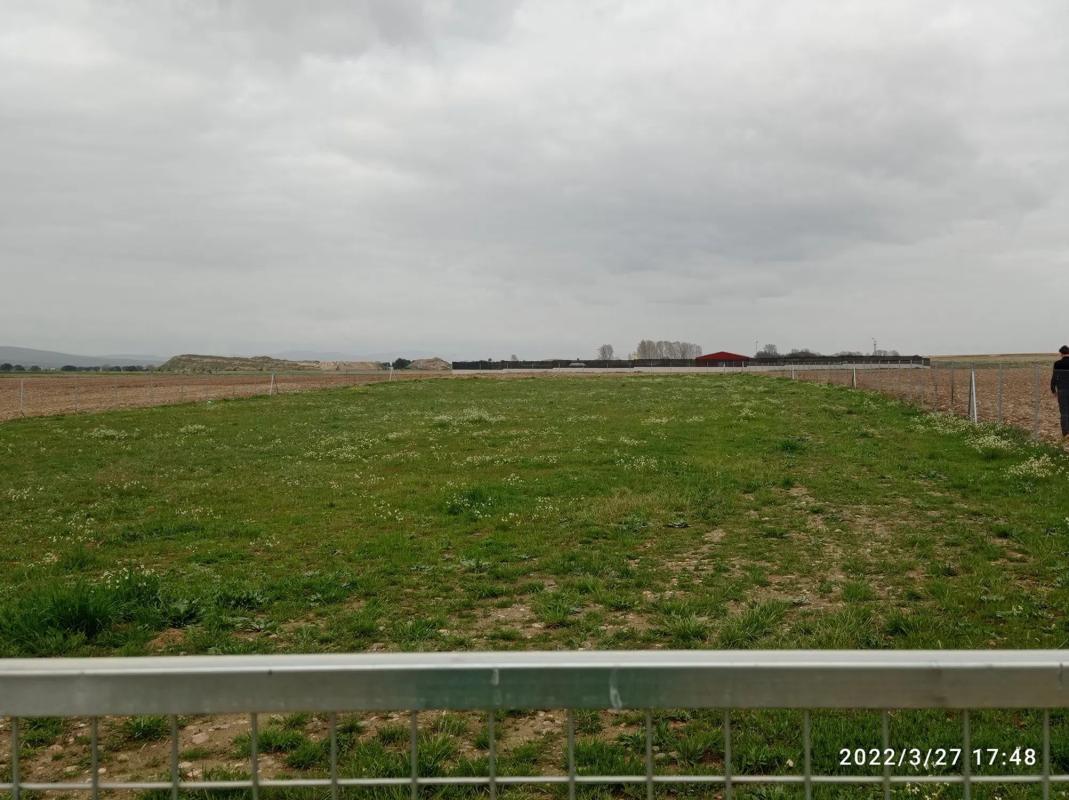 Land for sale in Fuente el Saz de Jarama, Madrid photo 2