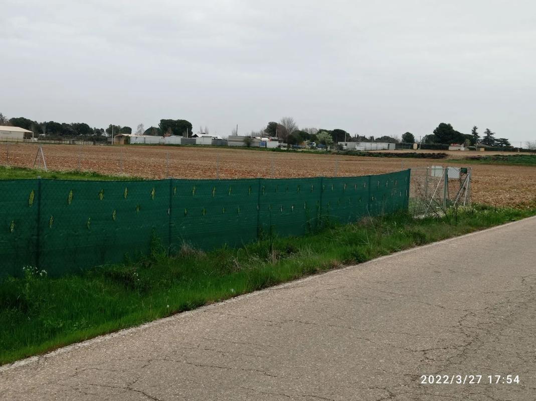 Land for sale in Fuente el Saz de Jarama, Madrid photo 4