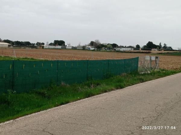Terreno en camino de Santa Catalina s/n photo 4