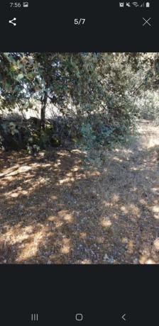 Terreno en camino de Pedrezuela, km 1 photo 2
