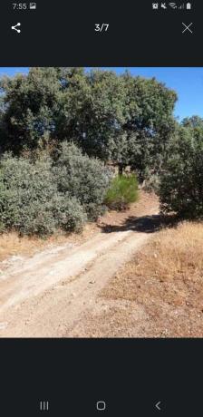 Terreno en camino de Pedrezuela, km 1 photo 4