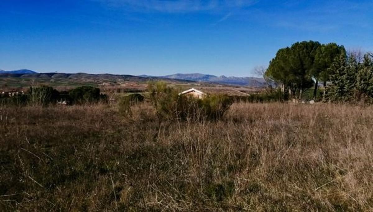 Land for sale in Talamanca de Jarama, Madrid photo 2