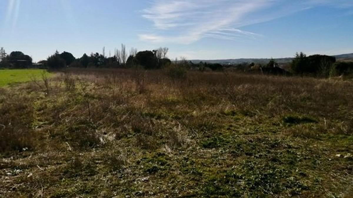 Land for sale in Talamanca de Jarama, Madrid photo 3