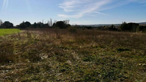 Terreno en Poligono Plrustica4, 16 photo 3