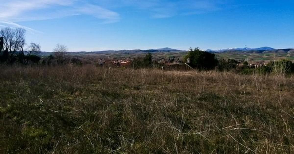 Land for sale in Talamanca de Jarama, Madrid photo 4