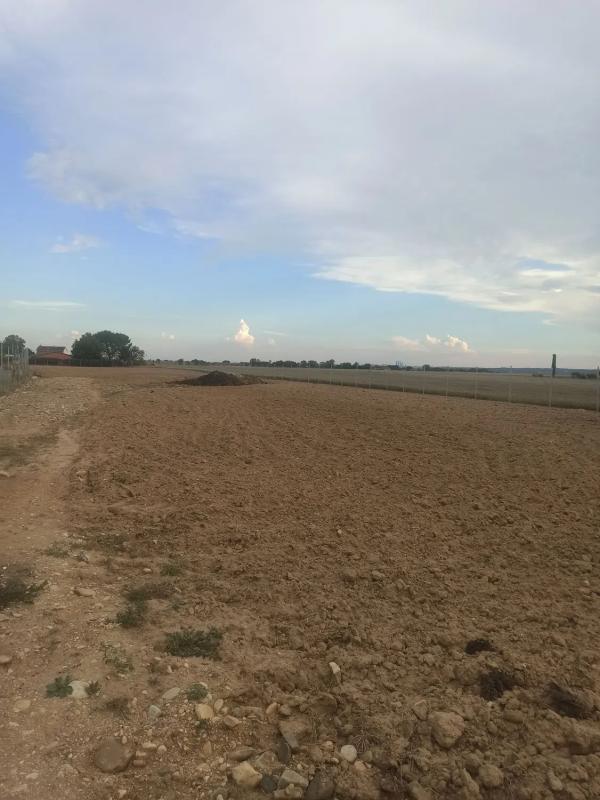 Land for sale in Fuente el Saz de Jarama, Madrid photo 3