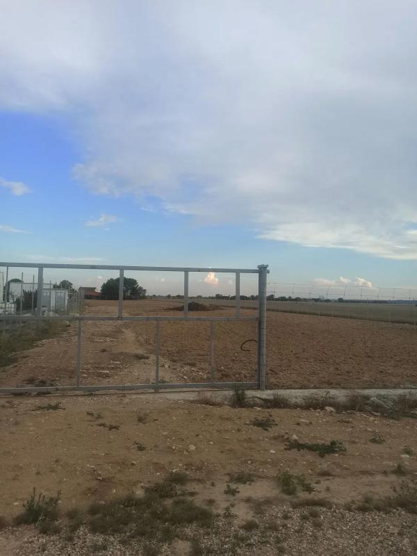 Land for sale in Fuente el Saz de Jarama, Madrid photo 4