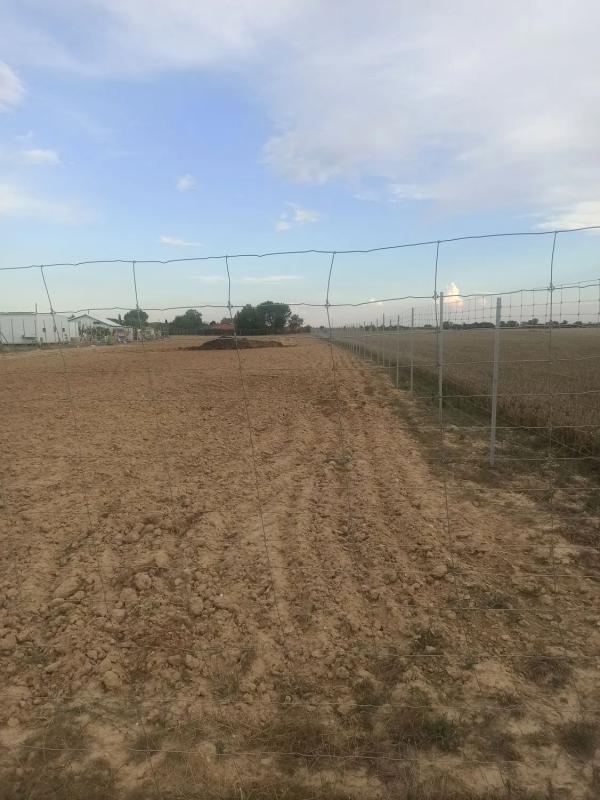 Land for sale in Fuente el Saz de Jarama, Madrid photo 5