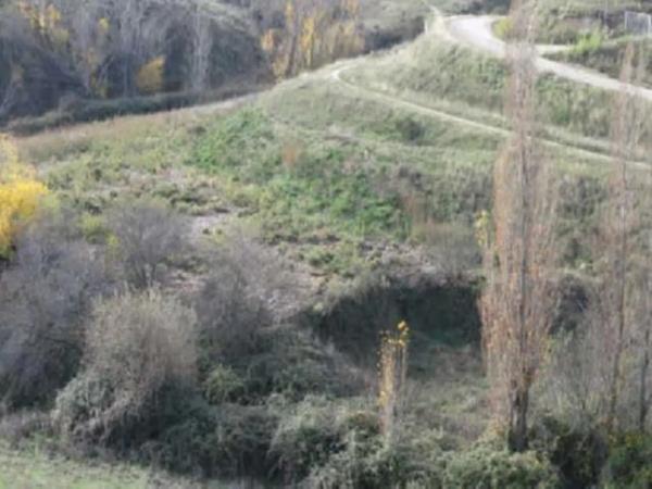 Terreno en El Molar photo 3