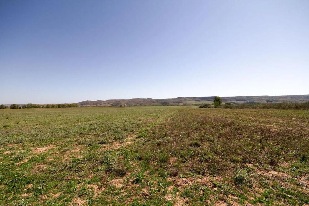 Land for sale in Fresno de Torote, Madrid photo 2