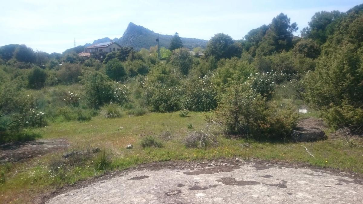 Działka na sprzedaż w Berrueco, El, Madryt photo 1