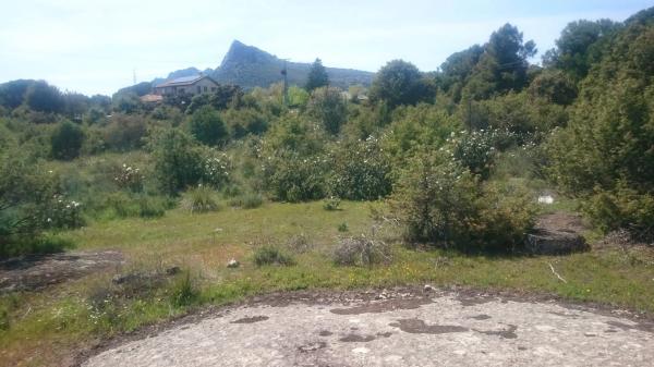 Terreno en carretera Berrueco-la Cabrera, 14 n photo 1