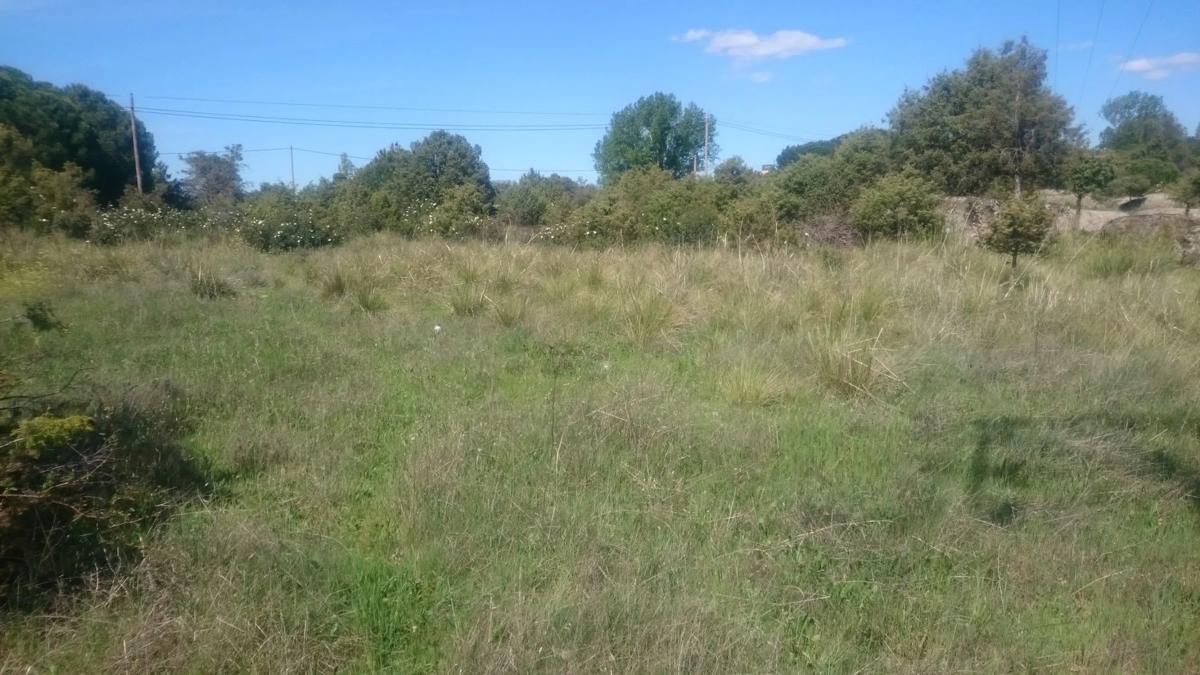 Działka na sprzedaż w Berrueco, El, Madryt photo 5