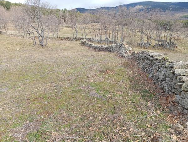 Terreno en M604 s/n photo 1