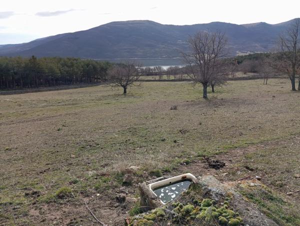 Terreno en M604 s/n photo 3